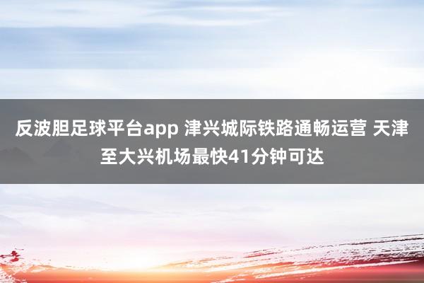 反波胆足球平台app 津兴城际铁路通畅运营 天津至大兴机场最快41分钟可达