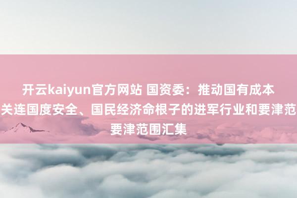 开云kaiyun官方网站 国资委：推动国有成本不停向关连国度安全、国民经济命根子的进军行业和要津范围汇集