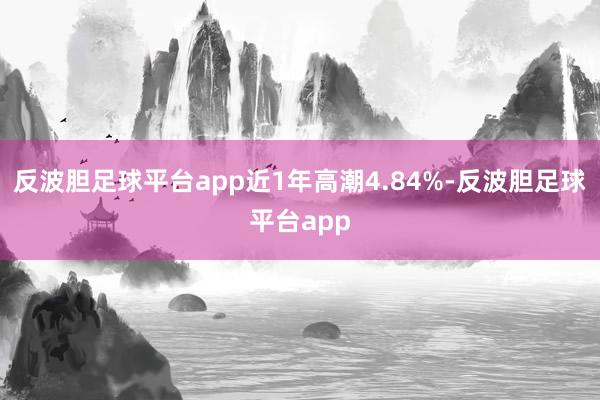 反波胆足球平台app近1年高潮4.84%-反波胆足球平台app