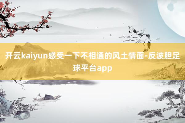 开云kaiyun感受一下不相通的风土情面-反波胆足球平台app