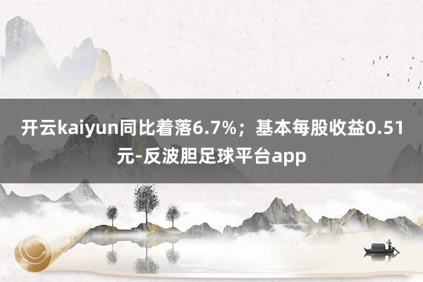 开云kaiyun同比着落6.7%；基本每股收益0.51元-反波胆足球平台app