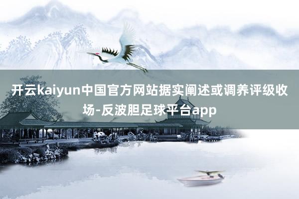 开云kaiyun中国官方网站据实阐述或调养评级收场-反波胆足球平台app