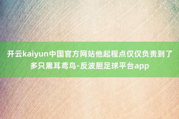 开云kaiyun中国官方网站他起程点仅仅负责到了多只黑耳鸢鸟-反波胆足球平台app