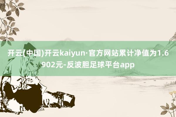 开云(中国)开云kaiyun·官方网站累计净值为1.6902元-反波胆足球平台app