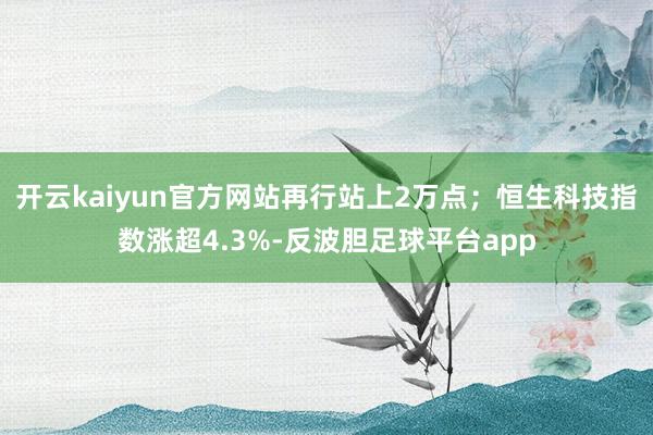 开云kaiyun官方网站再行站上2万点；恒生科技指数涨超4.3%-反波胆足球平台app