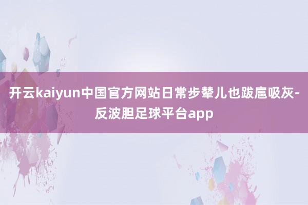 开云kaiyun中国官方网站日常步辇儿也跋扈吸灰-反波胆足球平台app