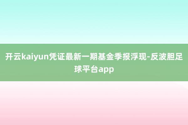 开云kaiyun凭证最新一期基金季报浮现-反波胆足球平台app