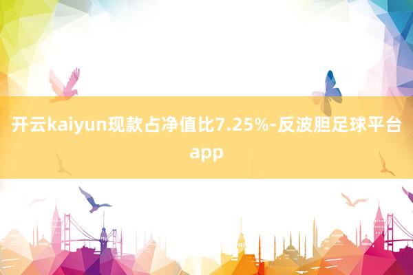 开云kaiyun现款占净值比7.25%-反波胆足球平台app