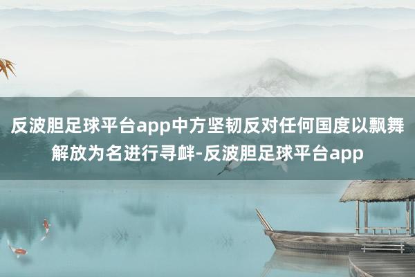 反波胆足球平台app中方坚韧反对任何国度以飘舞解放为名进行寻衅-反波胆足球平台app