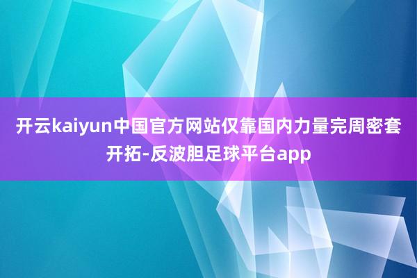 开云kaiyun中国官方网站仅靠国内力量完周密套开拓-反波胆足球平台app