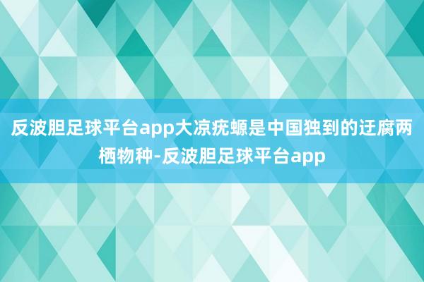 反波胆足球平台app大凉疣螈是中国独到的迂腐两栖物种-反波胆足球平台app