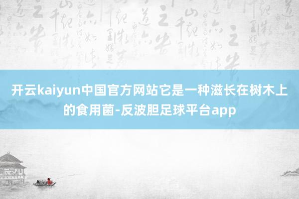 开云kaiyun中国官方网站它是一种滋长在树木上的食用菌-反波胆足球平台app