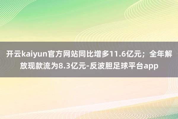 开云kaiyun官方网站同比增多11.6亿元；全年解放现款流为8.3亿元-反波胆足球平台app
