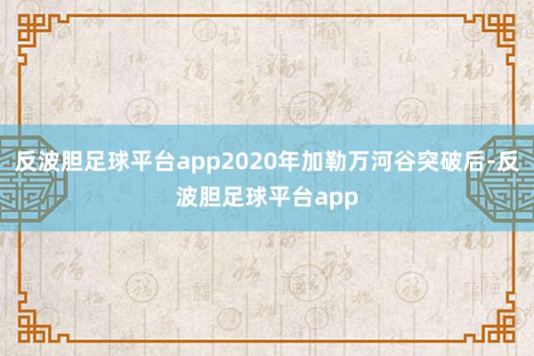 反波胆足球平台app2020年加勒万河谷突破后-反波胆足球平台app