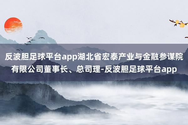 反波胆足球平台app湖北省宏泰产业与金融参谋院有限公司董事长、总司理-反波胆足球平台app