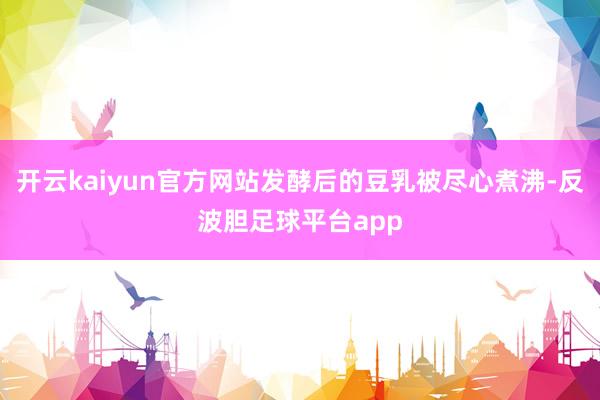 开云kaiyun官方网站发酵后的豆乳被尽心煮沸-反波胆足球平台app