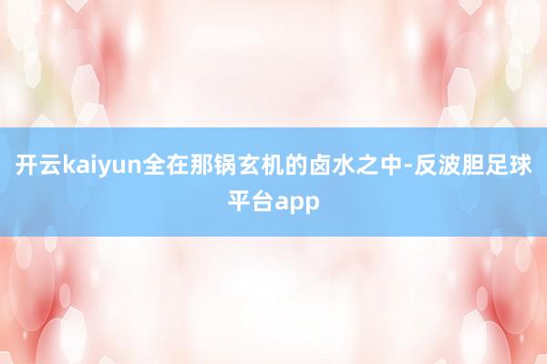 开云kaiyun全在那锅玄机的卤水之中-反波胆足球平台app