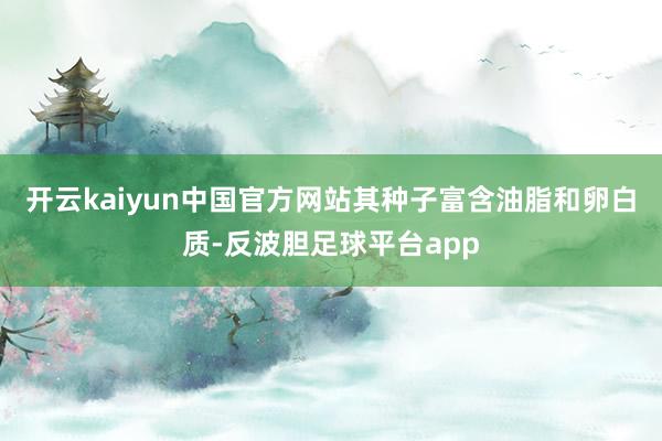 开云kaiyun中国官方网站其种子富含油脂和卵白质-反波胆足球平台app
