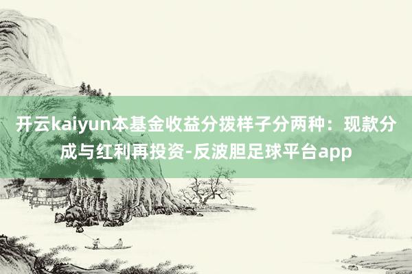 开云kaiyun本基金收益分拨样子分两种:现款分成与红利再投资-反波胆足球平台app