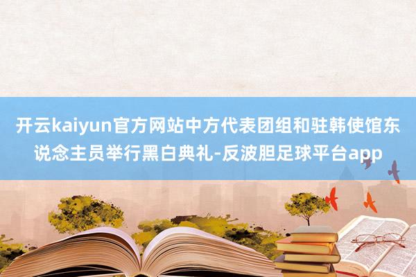 开云kaiyun官方网站中方代表团组和驻韩使馆东说念主员举行黑白典礼-反波胆足球平台app