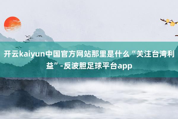 开云kaiyun中国官方网站那里是什么“关注台湾利益”-反波胆足球平台app