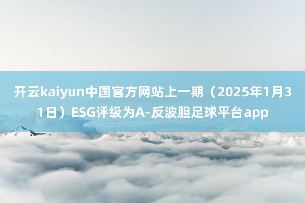 开云kaiyun中国官方网站上一期（2025年1月31日）ESG评级为A-反波胆足球平台app