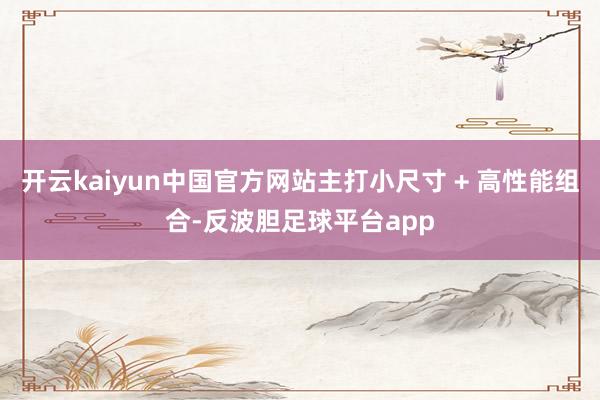 开云kaiyun中国官方网站主打小尺寸 + 高性能组合-反波胆足球平台app