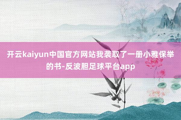 开云kaiyun中国官方网站我袭取了一册小雅保举的书-反波胆足球平台app
