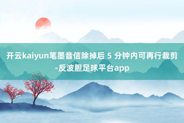 开云kaiyun笔墨音信除掉后 5 分钟内可再行裁剪-反波胆足球平台app