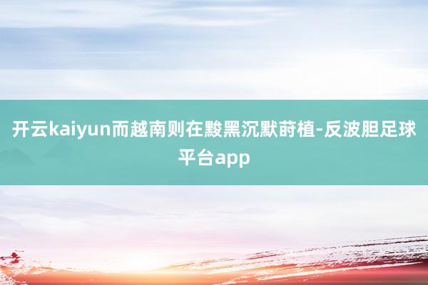 开云kaiyun而越南则在黢黑沉默莳植-反波胆足球平台app