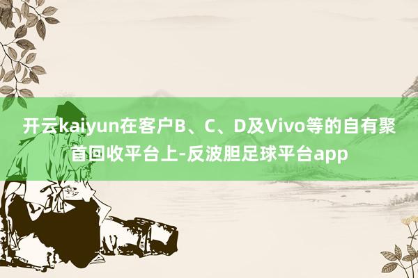 开云kaiyun在客户B、C、D及Vivo等的自有聚首回收平台上-反波胆足球平台app