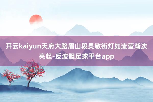 开云kaiyun天府大路眉山段灵敏街灯如流萤渐次亮起-反波胆足球平台app