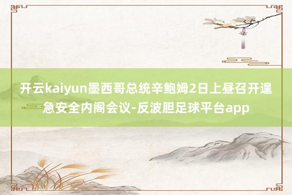 开云kaiyun 墨西哥总统辛鲍姆2日上昼召开遑急安全内阁会议-反波胆足球平台app