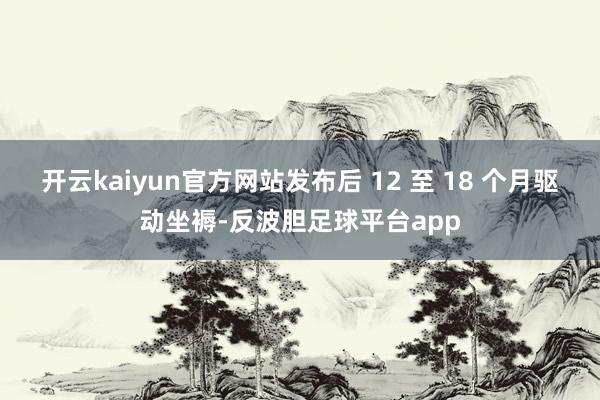 开云kaiyun官方网站发布后 12 至 18 个月驱动坐褥-反波胆足球平台app